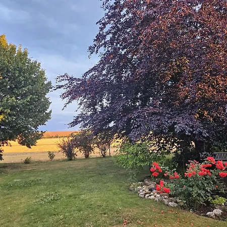 Maison d'hôtes Birgit Froehlich Mucheln